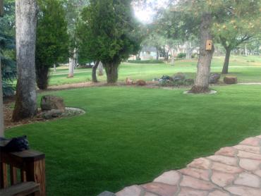 Artificial Grass Photos: Fake Pet Grass Fillmore California Landscape